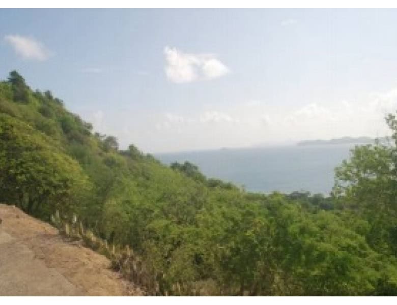 Ocean-view development land on Union Island, St Vincent & the Grenadines.