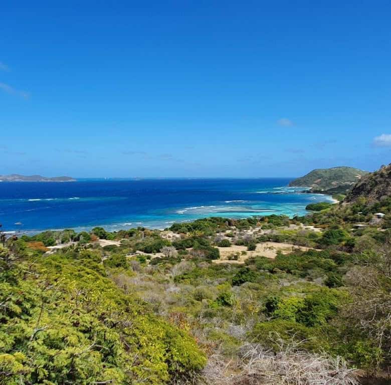 Ocean-view development land with stunning coastal scenery in St Vincent & the Grenadines.