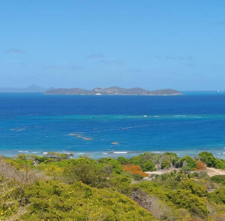 Ocean-view development land on Union Island with stunning sea vistas and lush surroundings.