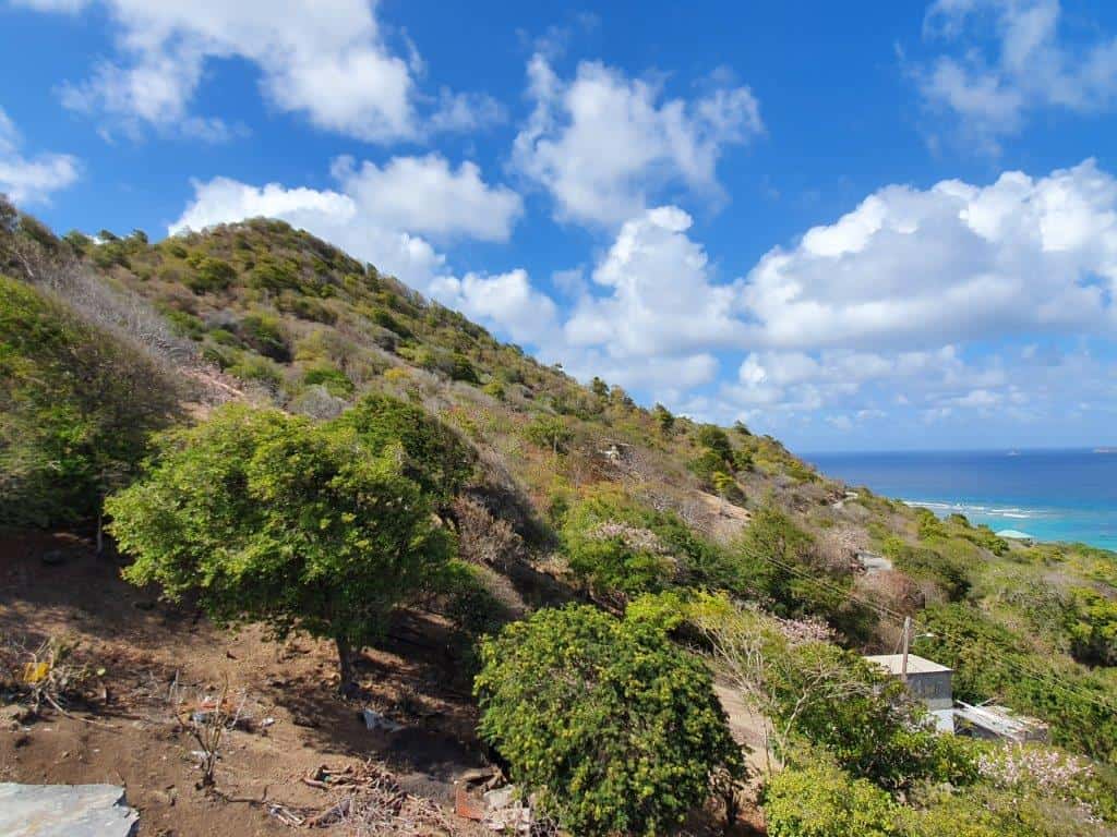 Ocean-view development land on Union Island, St Vincent & the Grenadines. Perfect for building a pri.