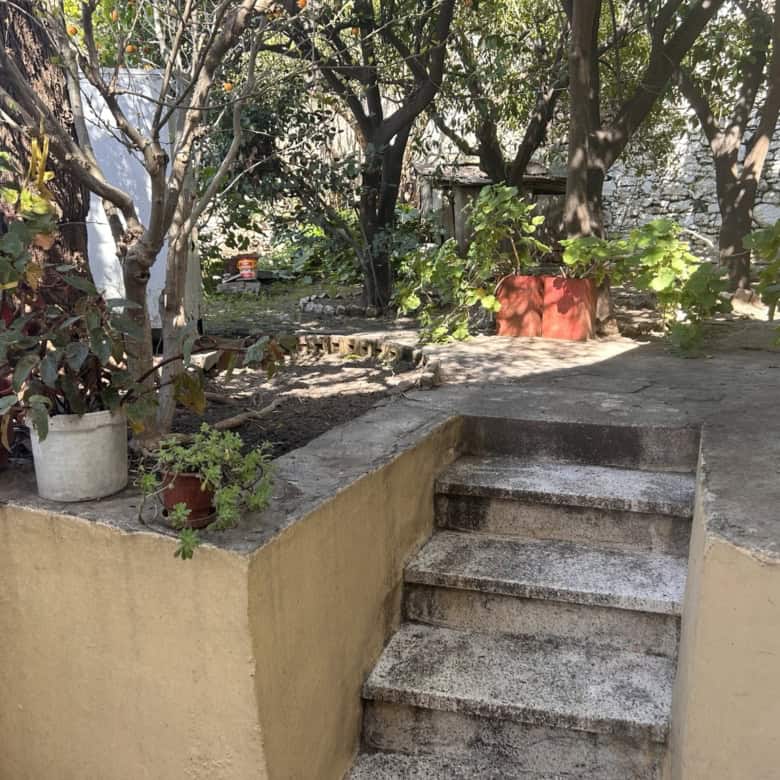 Beautiful garden featuring stone steps, potted plants, and shaded trees for a peaceful outdoor space.