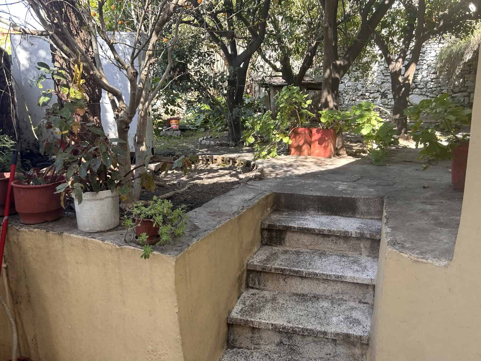 Beautiful garden featuring stone steps, potted plants, and shaded trees for a peaceful outdoor space.