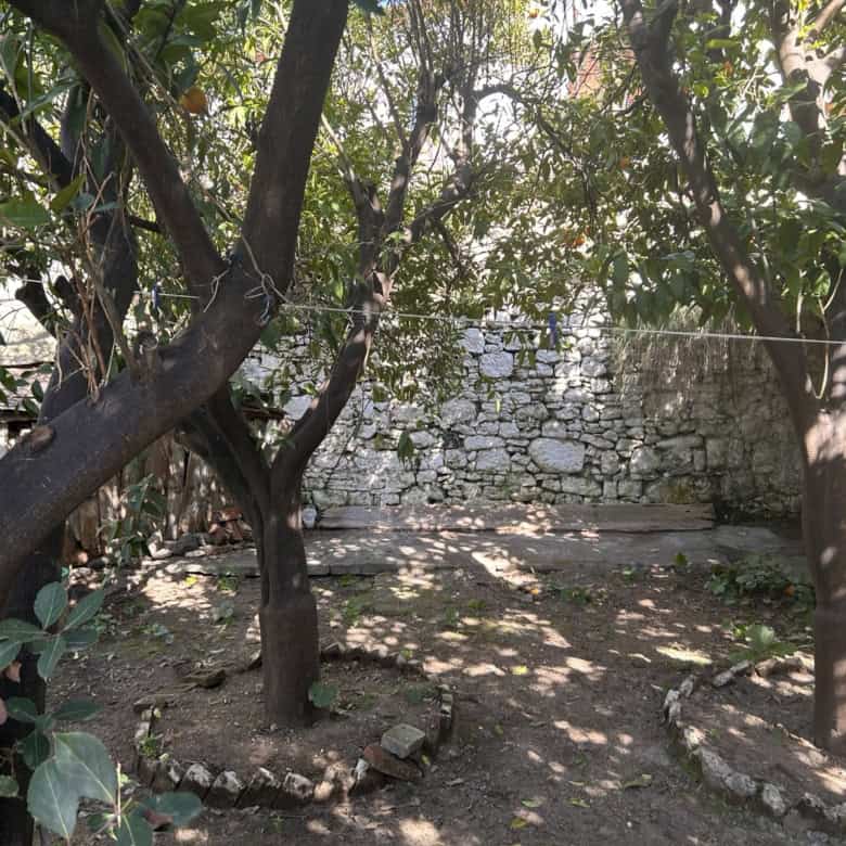 Garden with trees and stone wall in a sunny outdoor setting.