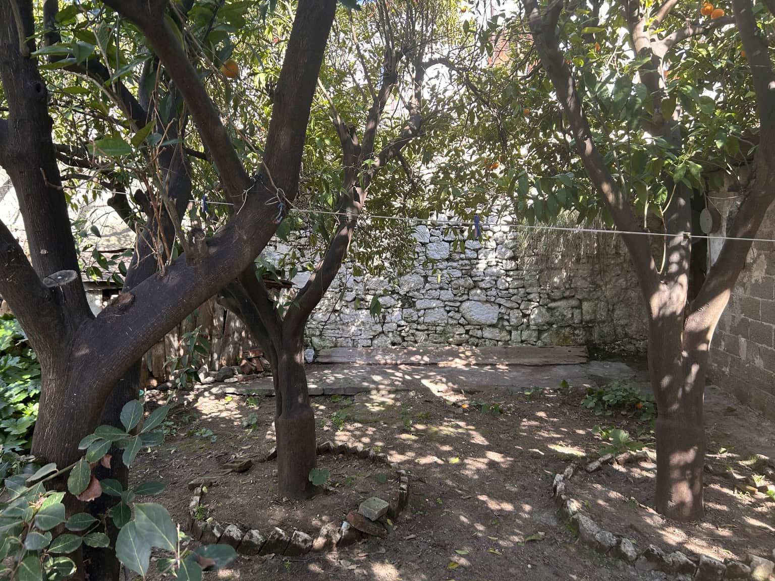Garden with trees and stone wall in a sunny outdoor setting.