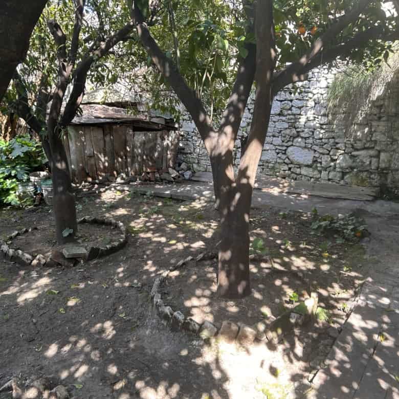 Garden with trees and rustic shed in a backyard.