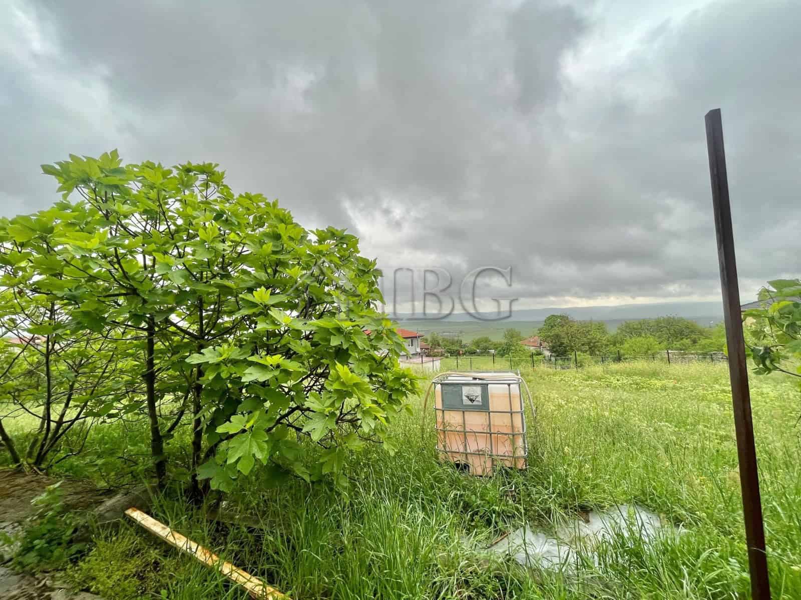 House with lush greenery and open field in Aleksandrovo, Burgas region.