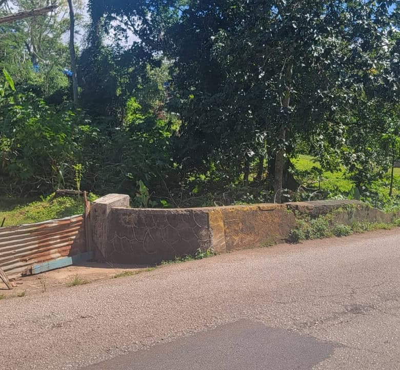 Land for sale in Grey Ground Manchester Jamaica, ideal for development or investment.