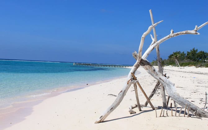 Land for sale on Little Cayman, Cayman Islands, featuring pristine beaches and ocean views.