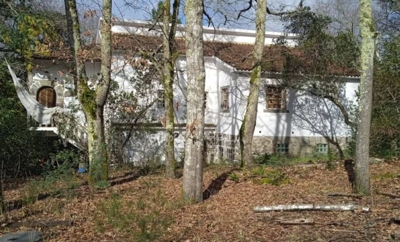 Beautiful farm estate with mature trees and rustic charm in Santa Comba Dao, Viseu, Portugal.