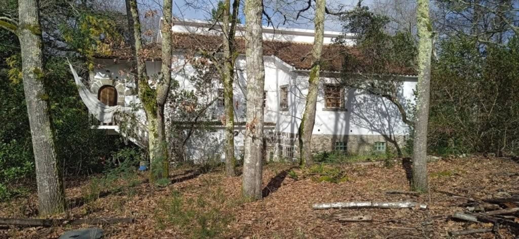 Excellent Farm Estate in Santa Comba Dao, Portugal Beautiful farm estate with mature trees and rustic charm in Santa Comba Dao, Viseu, Portugal.