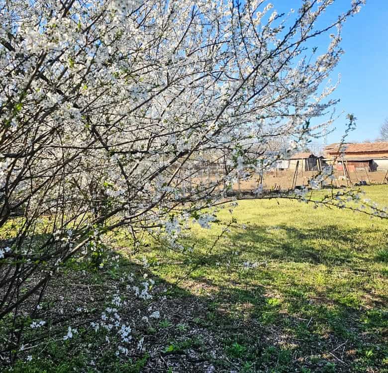 Beautiful house with a large plot, perfect for full renovation and development opportunities. Ideal.