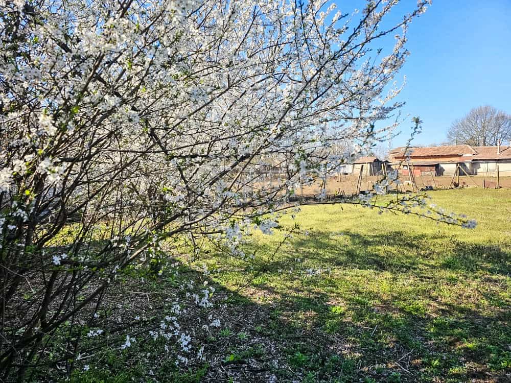 Beautiful house with a large plot, perfect for full renovation and development opportunities. Ideal.