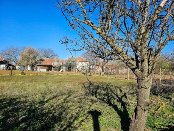 Large plot of land with mature trees, ideal for full renovation or development projects in a peacefu.