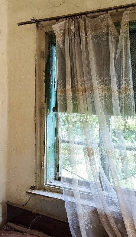 Old house interior with sheer curtains and a view outside through a worn window.