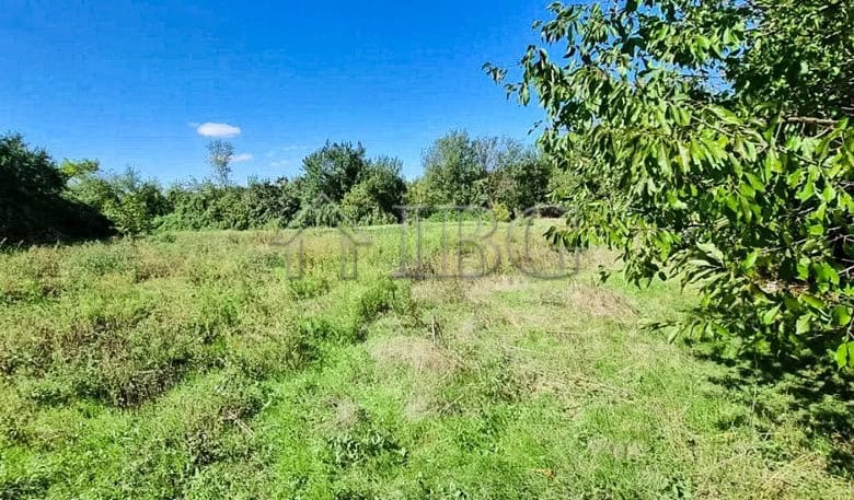 Spacious garden with lush greenery and trees in Aleksandrovo Village.