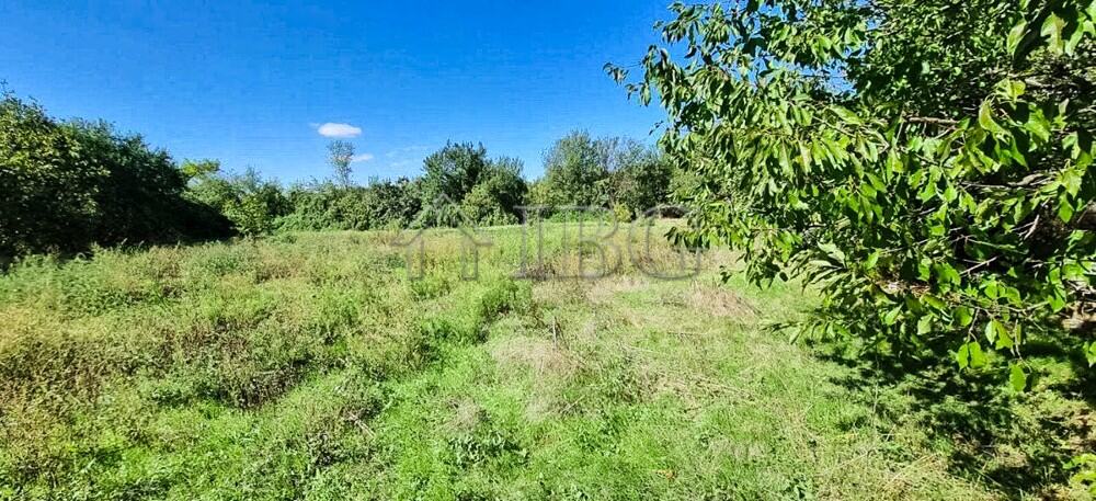 Spacious garden with lush greenery and trees in Aleksandrovo Village.
