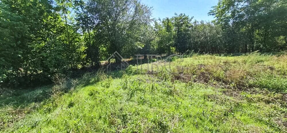 Beautiful two-storey house with large garden and private water well in Aleksandrovo Village.