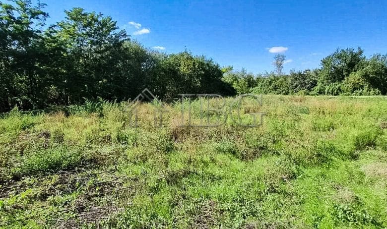 Spacious garden plot in Aleksandrovo Village with lush greenery and open sky.
