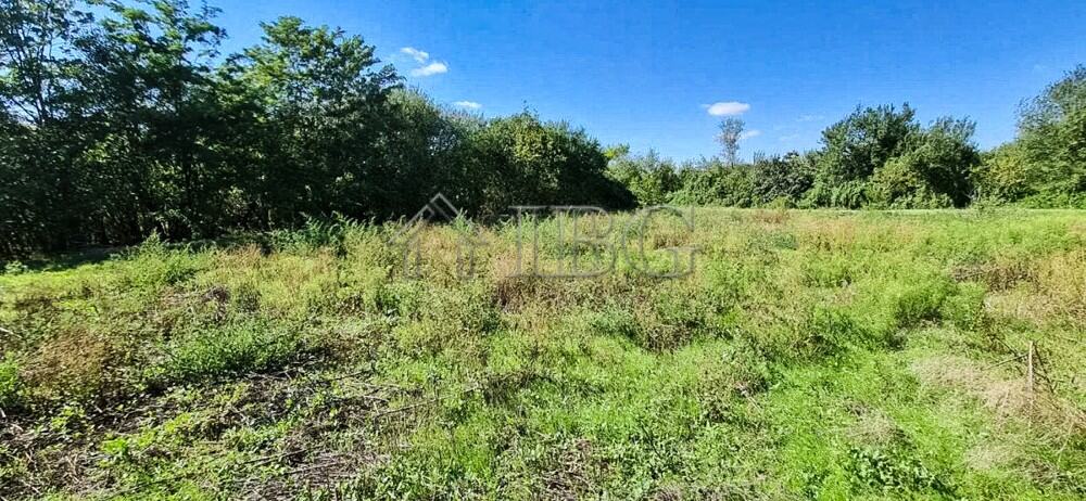 Spacious garden plot in Aleksandrovo Village with lush greenery and open sky.