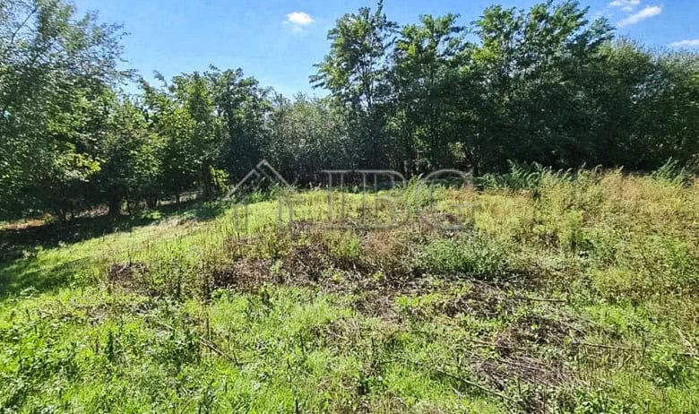 Beautiful two-storey house surrounded by lush garden and a private water well in Aleksandrovo Villag.