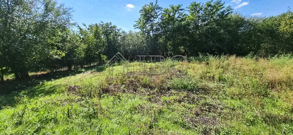Beautiful two-storey house surrounded by lush garden and a private water well in Aleksandrovo Villag.