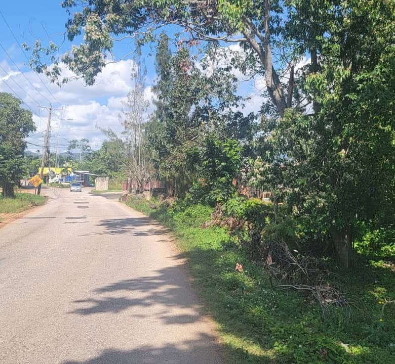 Land for sale in Grey Ground, Manchester, Jamaica, ideal for development.