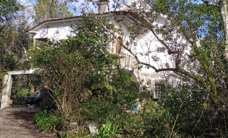 Charming farm estate with lush greenery in Santa Comba Dao, Viseu, Portugal.