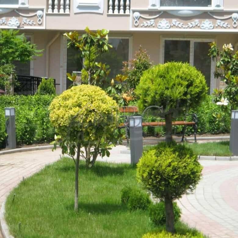 Cozy studio with balcony located in Melia Resort 6, Nessebar, just 5 minutes from the beach.