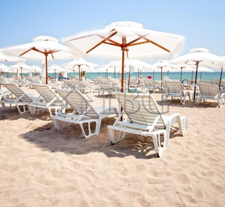 Beach loungers with umbrellas on sandy shore, sea view in the background.