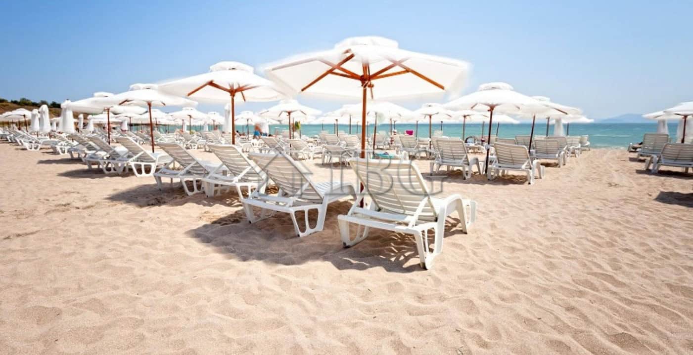 Beach loungers and umbrellas on sandy beach with ocean view.