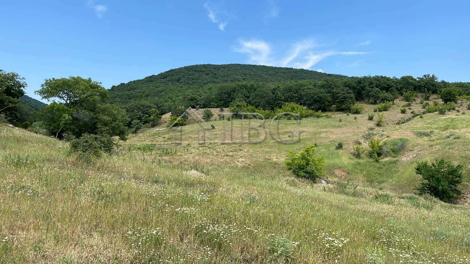 Building plot for sale in Kosharitsa with scenic mountain views and lush greenery. Ideal location fo.
