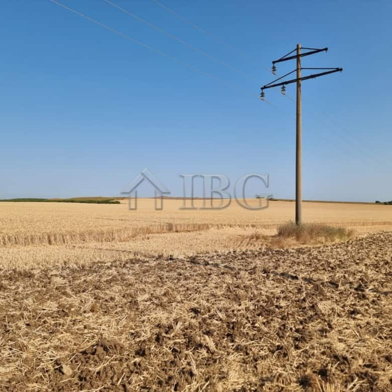 Land plot for sale near Tunkovo, Bulgaria, ideal for development or farming.