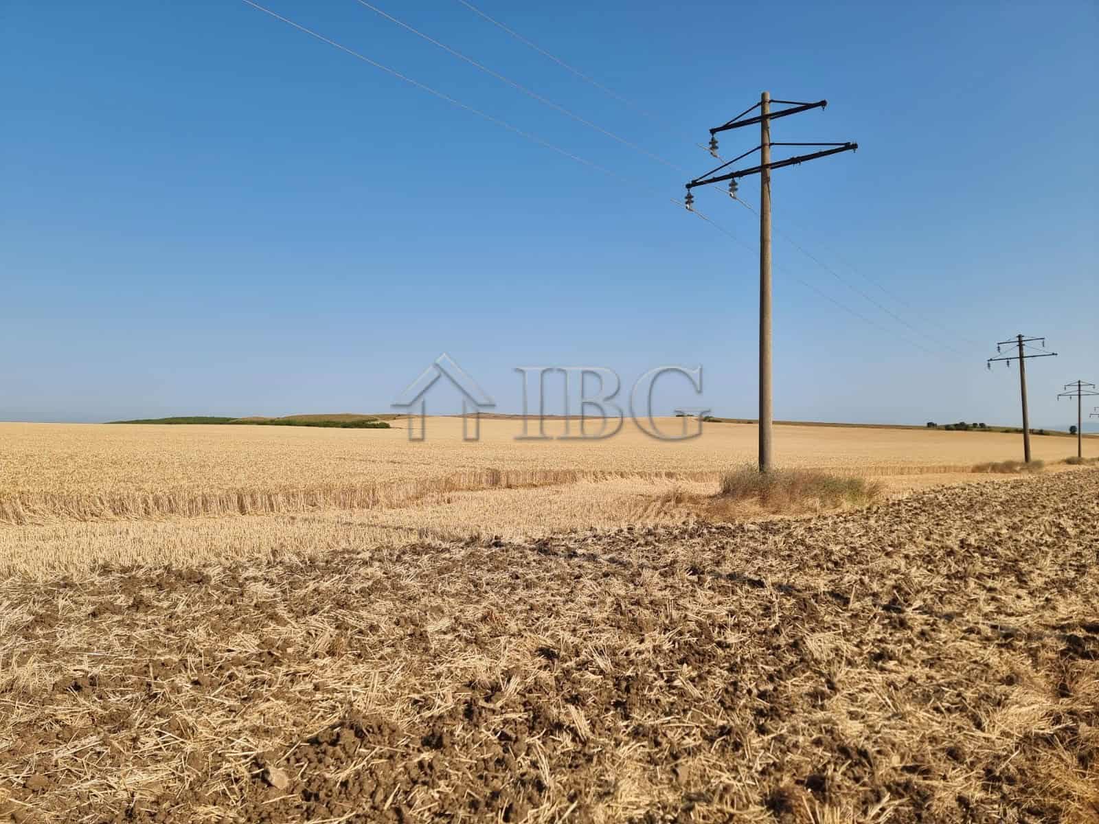 Land plot for sale near Tunkovo, Bulgaria, ideal for development or farming.