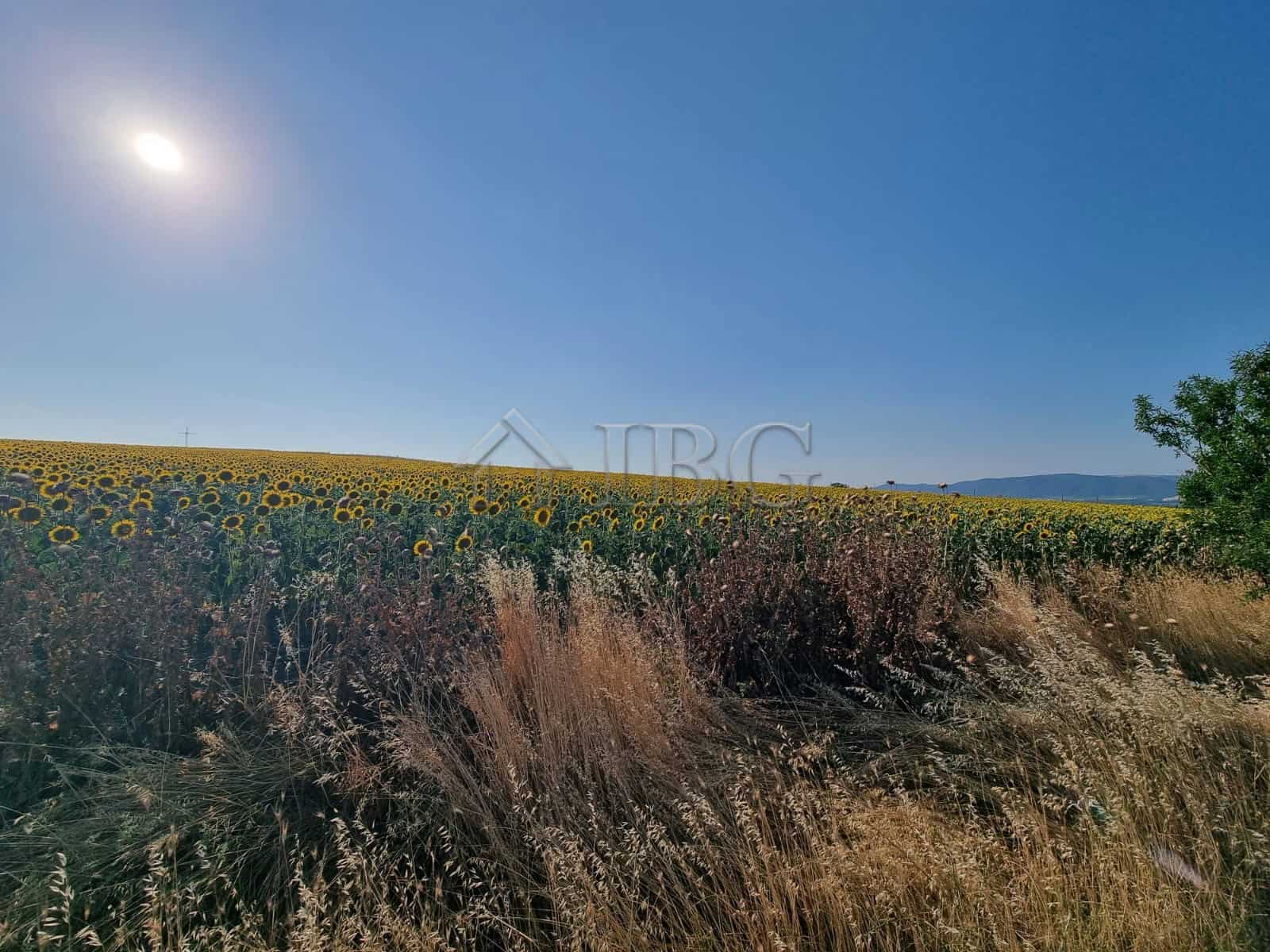 Building plot for sale in Tunkovo, Burgas region, Bulgaria, ideal for development.