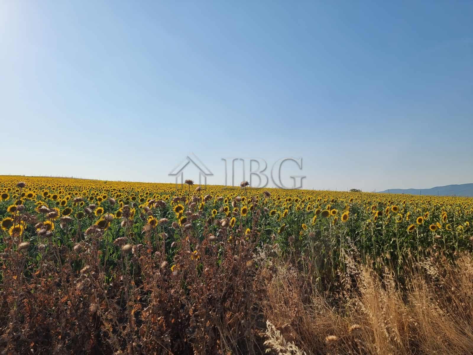 Building plot for sale in Tunkovo, Burgas, Bulgaria.