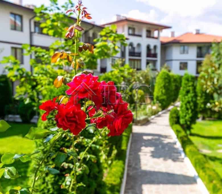 Beautiful garden scene with colorful flowers and well-maintained pathways near apartment complex.