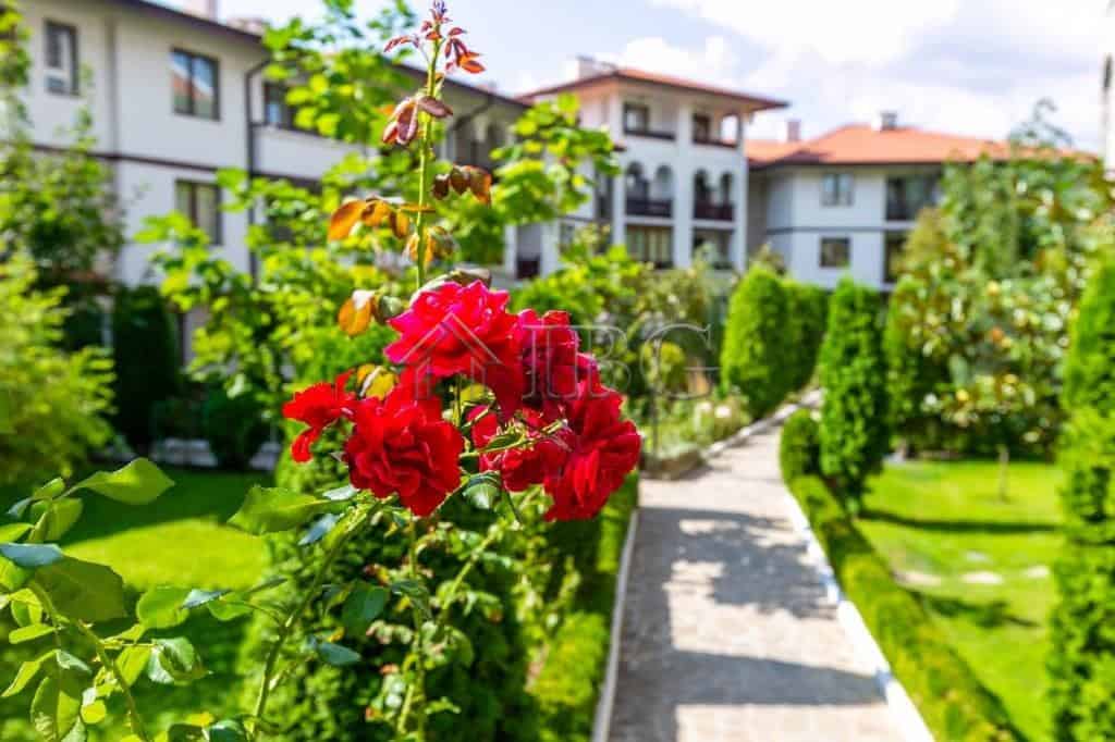 Beautiful garden scene with colorful flowers and well-maintained pathways near apartment complex.