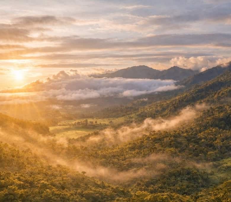 Beautiful cloud forest land for sale in Cerro Punta, Panama, with lush greenery and mountain views.
