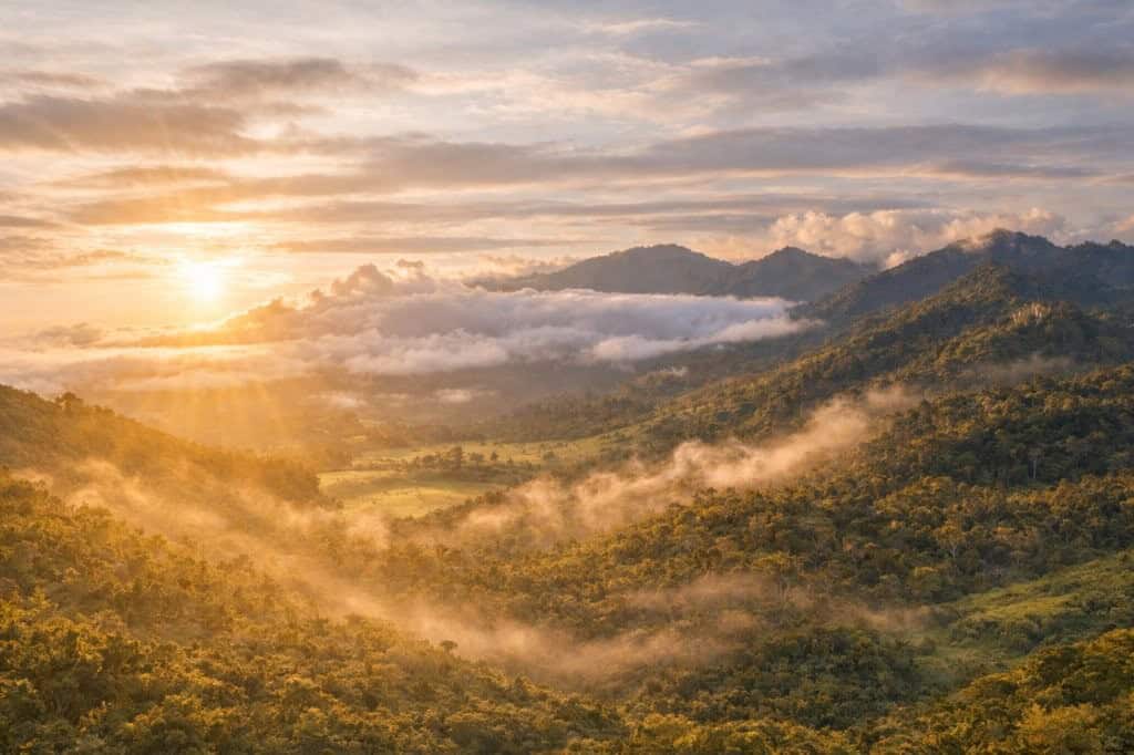 Beautiful cloud forest land for sale in Cerro Punta, Panama, with lush greenery and mountain views.