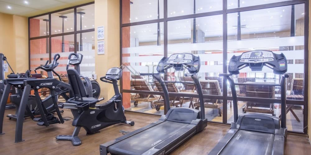 Gym interior with treadmills, exercise bikes, and weight machines near glass walls.