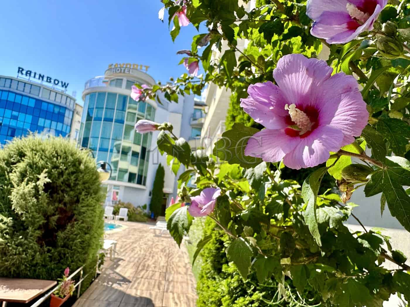 Bright 1-bedroom apartment in Sunny Beach with garden views and modern amenities.