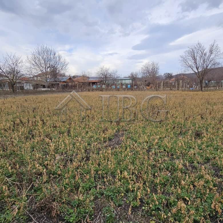 Large land plot with a house in Gyulyovtsa Village, Burgas Region, ideal for development or farming.
