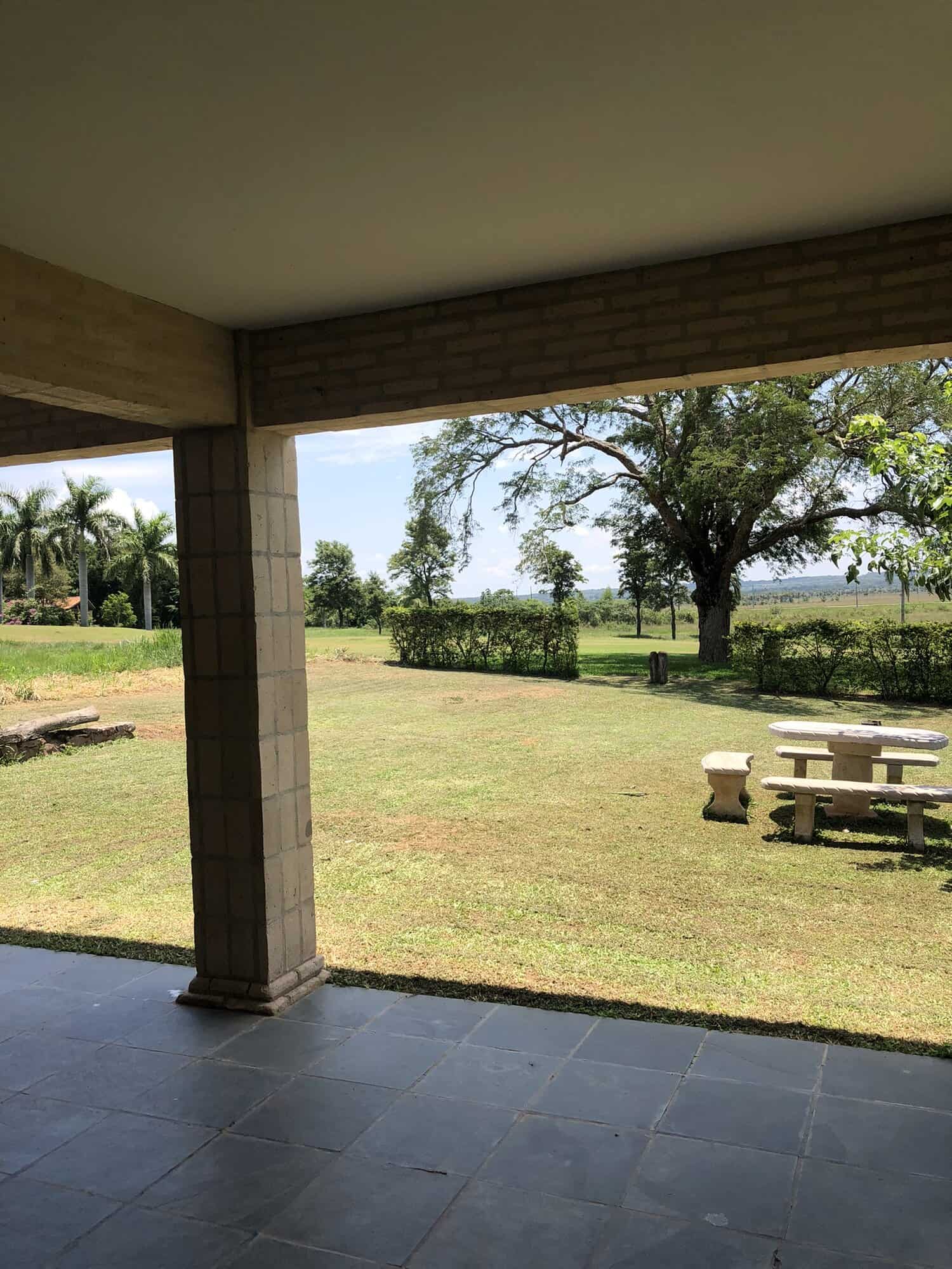 Beautiful outdoor view of a spacious garden at a luxury house in Paraguay. Outdoor garden view of a spacious yard at a luxury property in Paraguay.