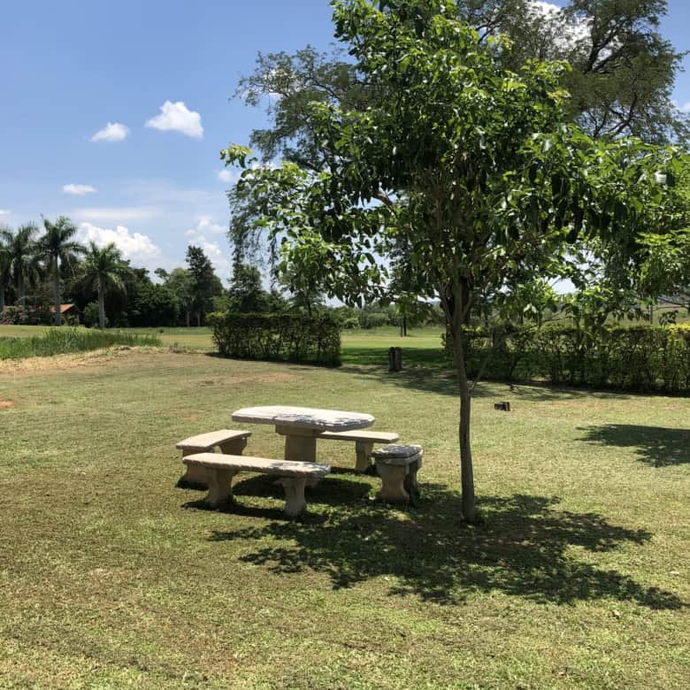 Scenic view of a park with a stone picnic table, surrounded by trees and open grassy areas in Carlos.