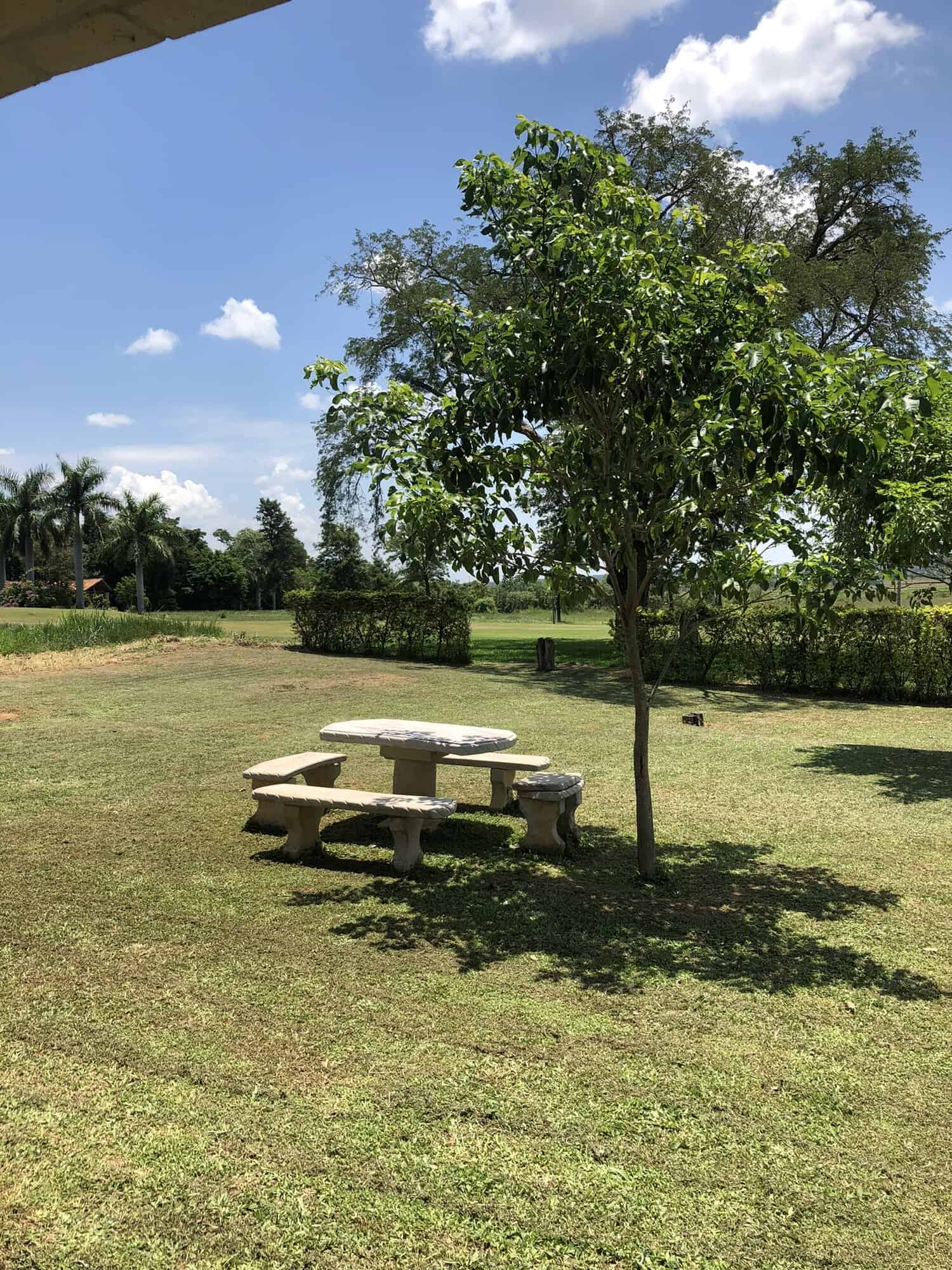 Beautiful outdoor park scene with picnic table and lush greenery in Paraguay Scenic view of a park with a stone picnic table, surrounded by trees and open grassy areas in Carlos.