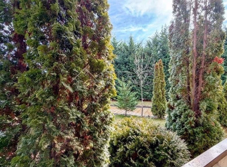 Garden view with tall trees and lush greenery at Orchid Fort Club, Sunny Beach.