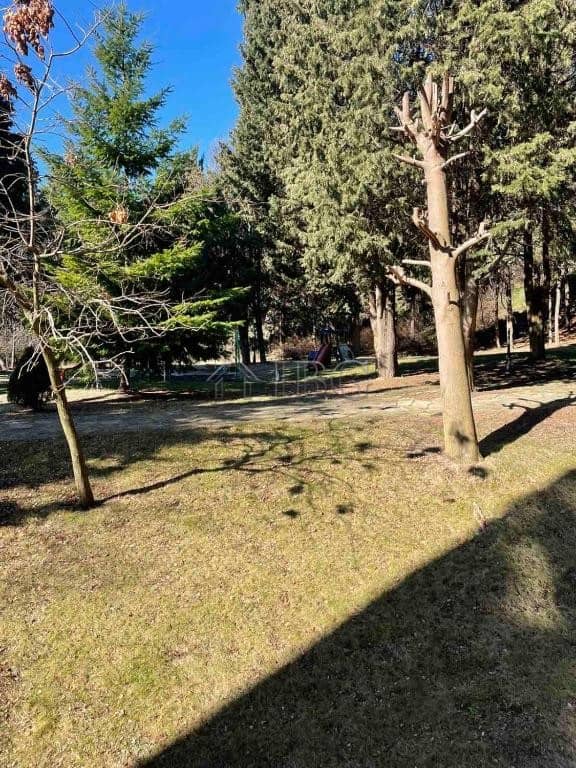 Bright outdoor park with trees and open grassy area near beach.