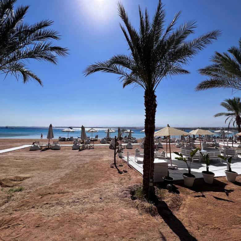 Beach resort with palm trees, sun loungers, and umbrellas by the sea.