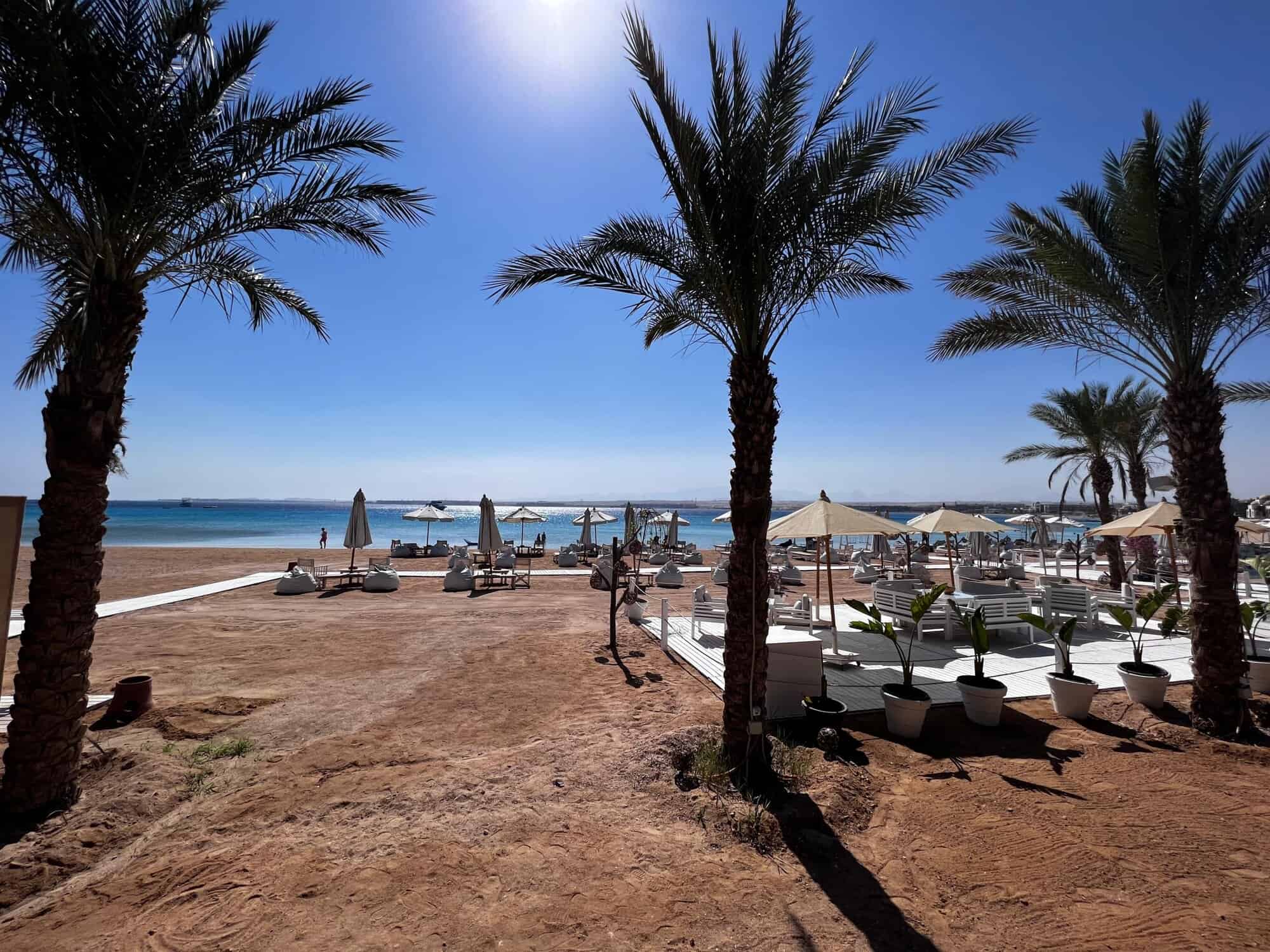 Beach resort with palm trees, sun loungers, and umbrellas by the sea.