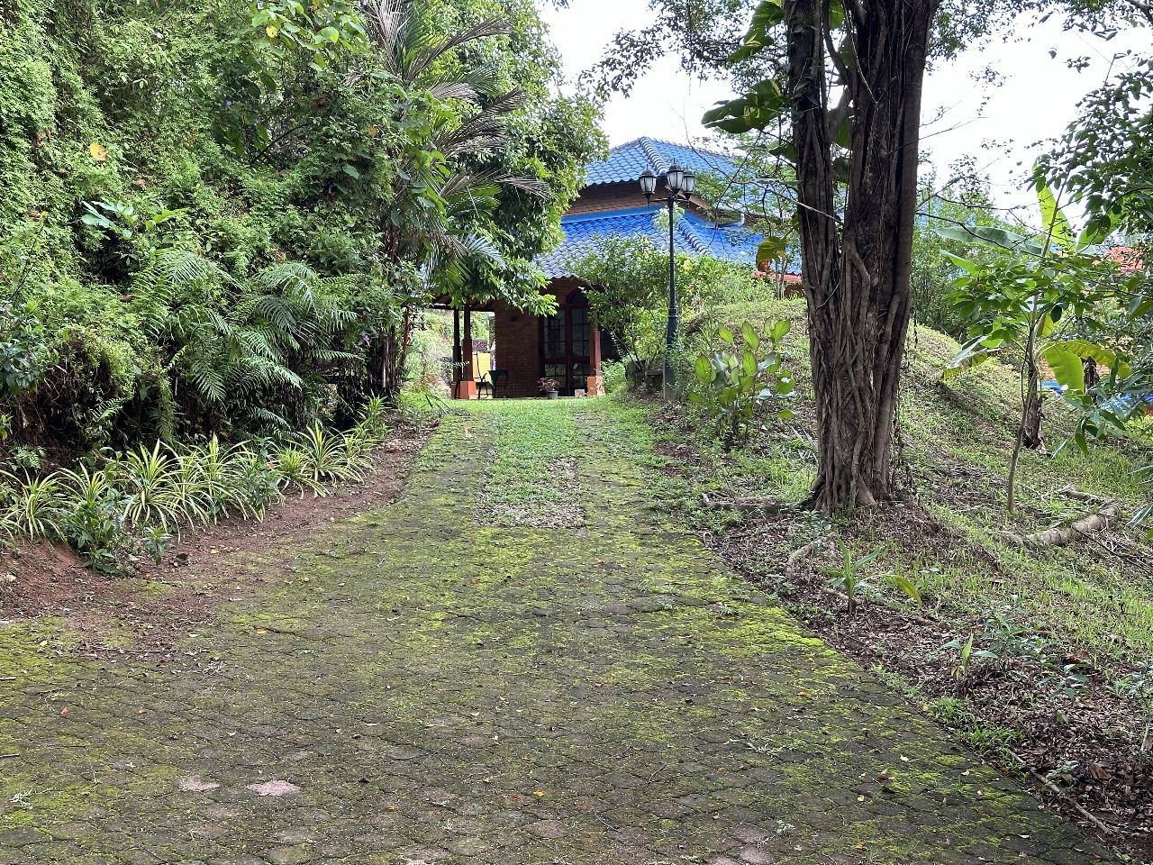 Property Highlight